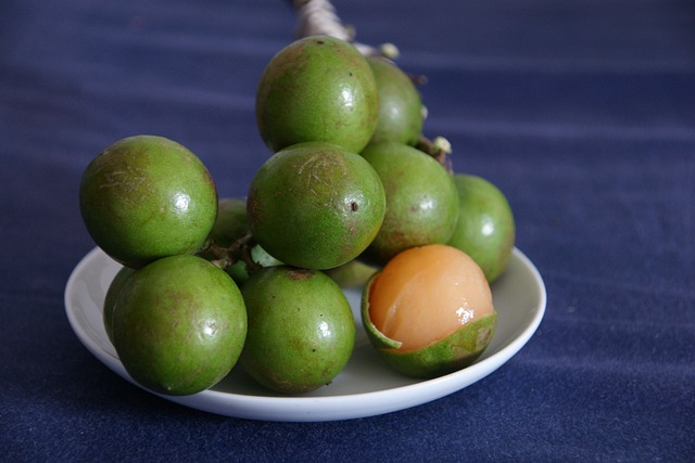 Mamoncillo (Spanish Lime)