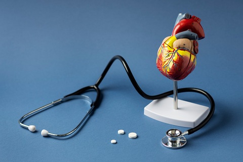 Intermittent fasting cardiovascular risk